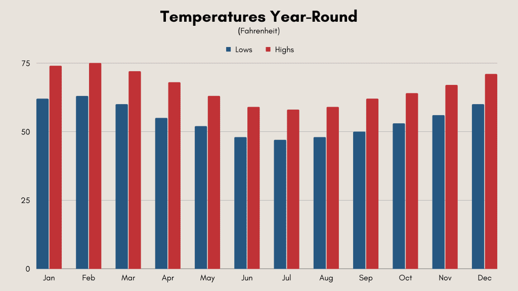 New Zealand weather chart showing monthly Auckland temperatures