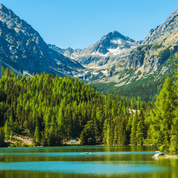 Slovakia turquoise lake with mountains and pine trees in background