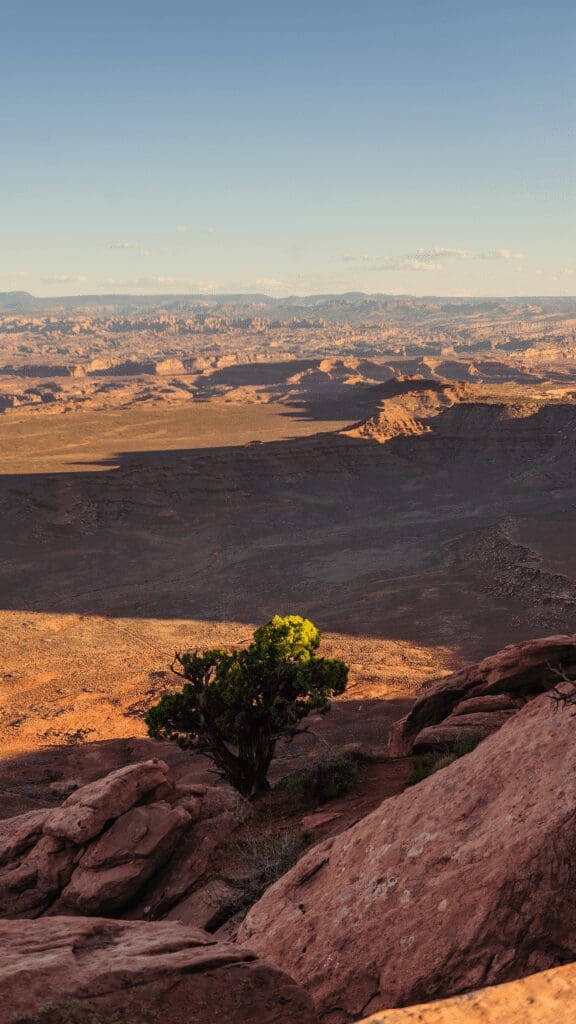 Aerial view of canyonlands