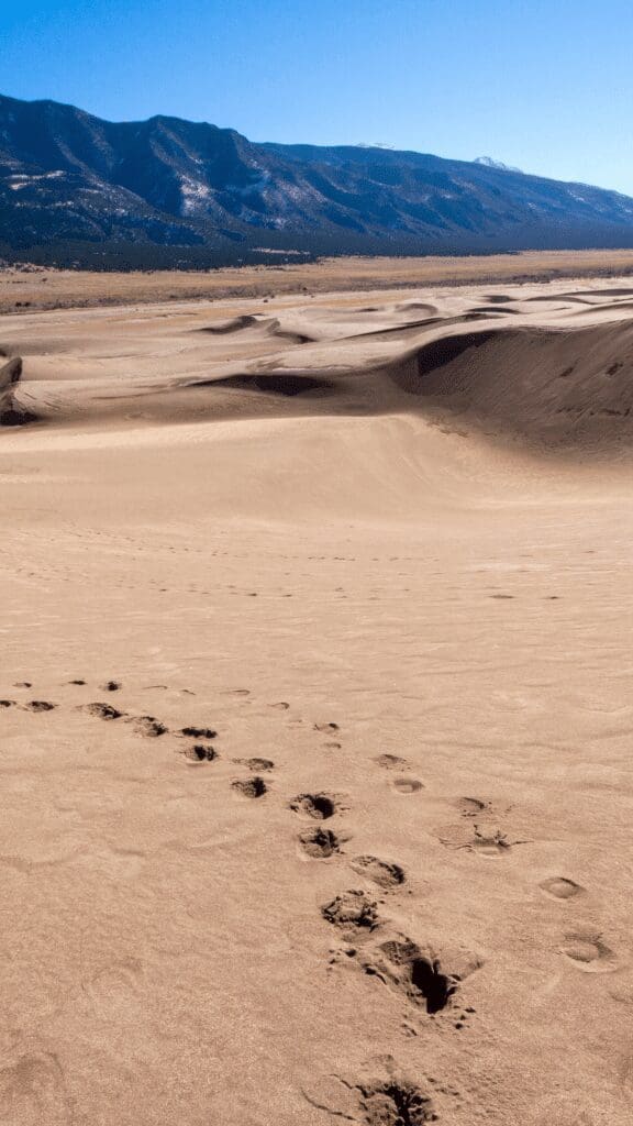 footprints in the sand