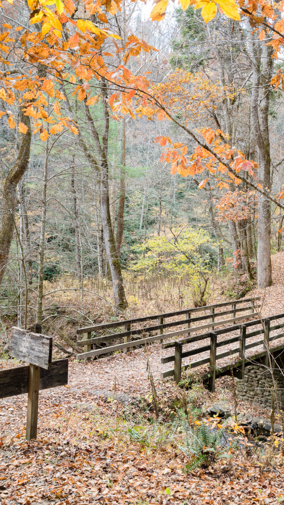trail with wooden bridge in autumn