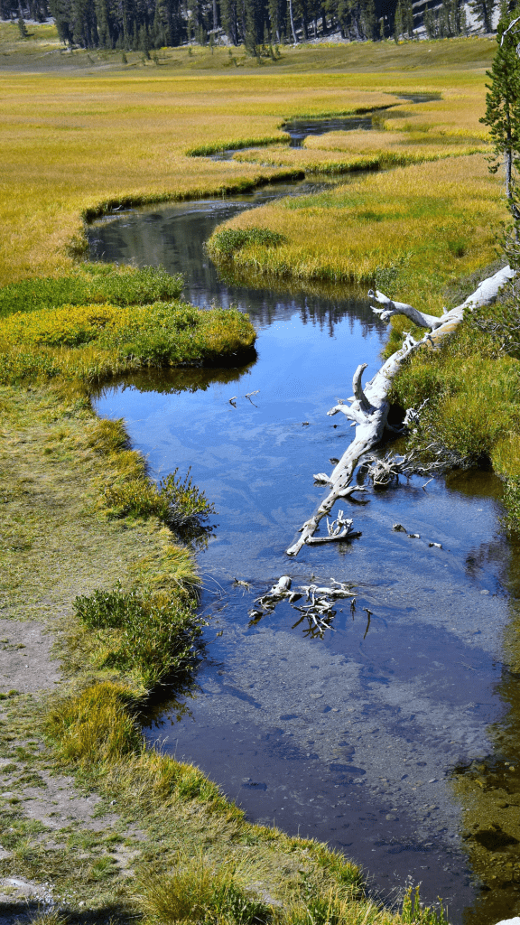 view of water/stream with grass and rock bottom