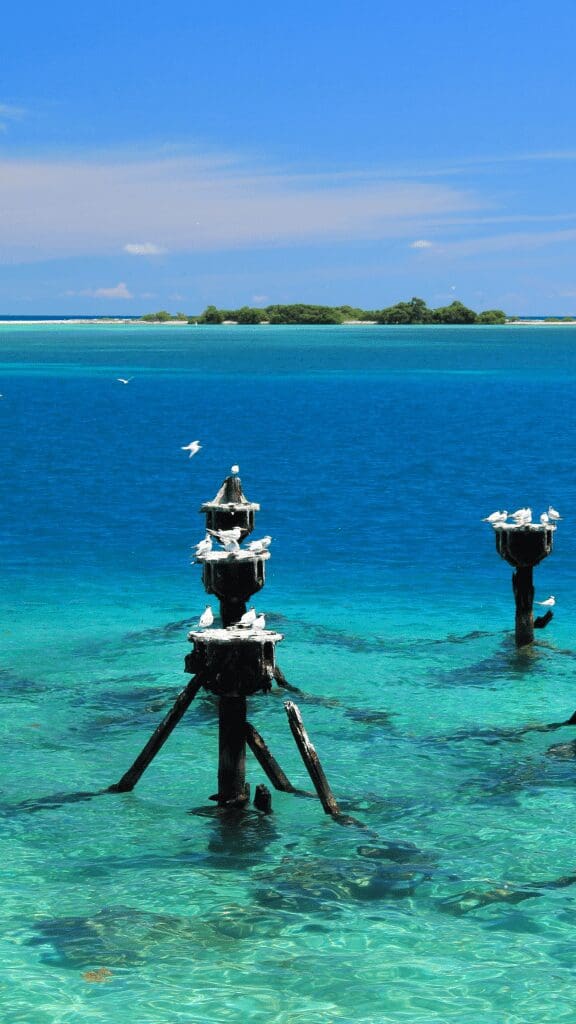 old pier posts with bird perched over teal blue water