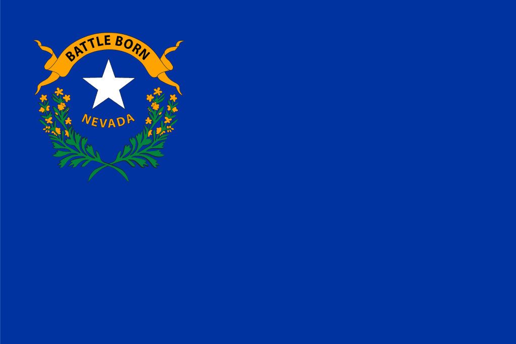 Blue flag with emblem in upper left corner