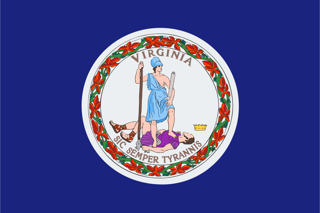 Blue flag with center emblem