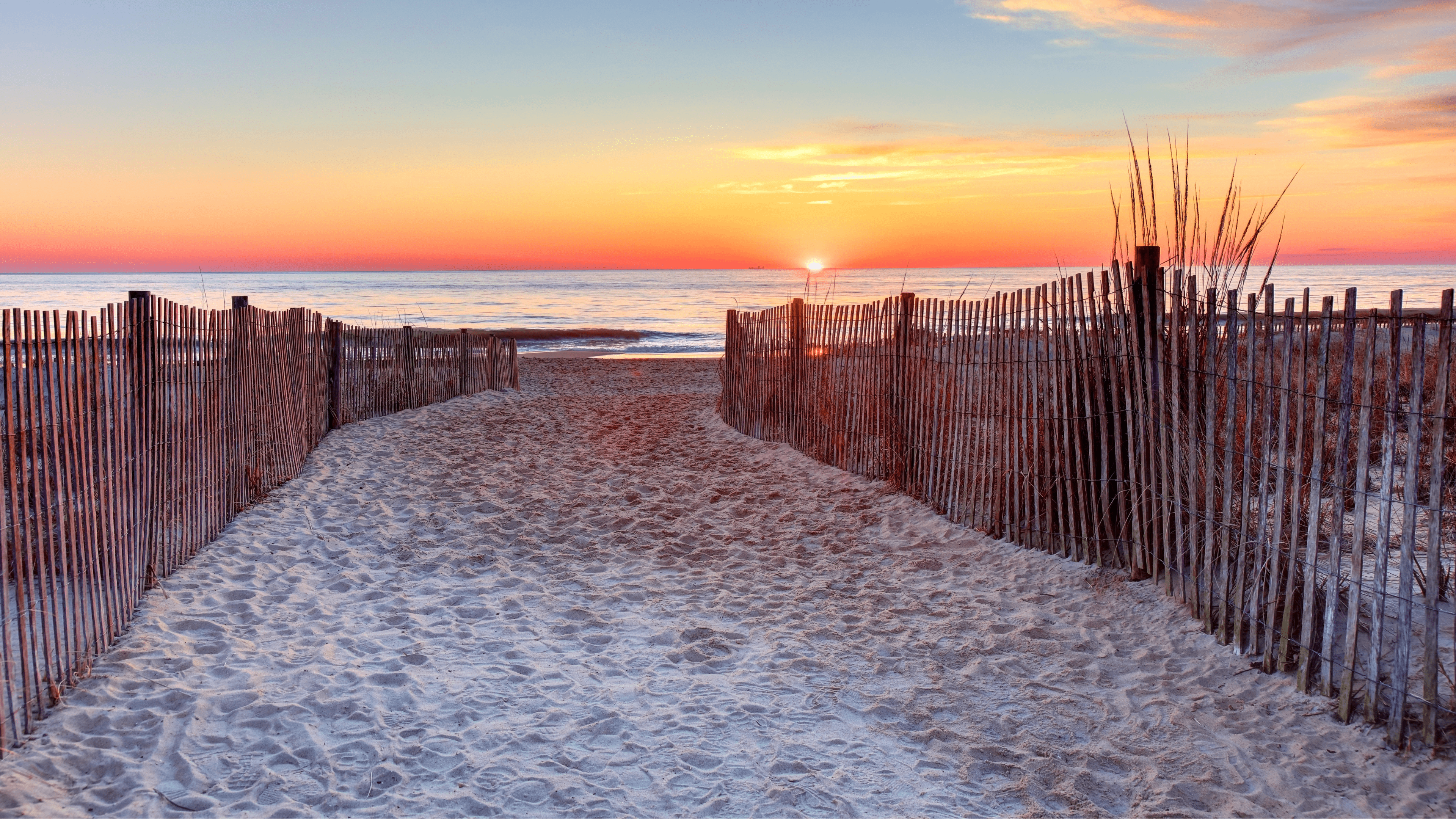 White sands of delaware beach