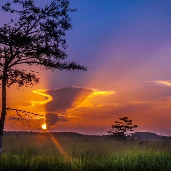 sunset at everglades national park