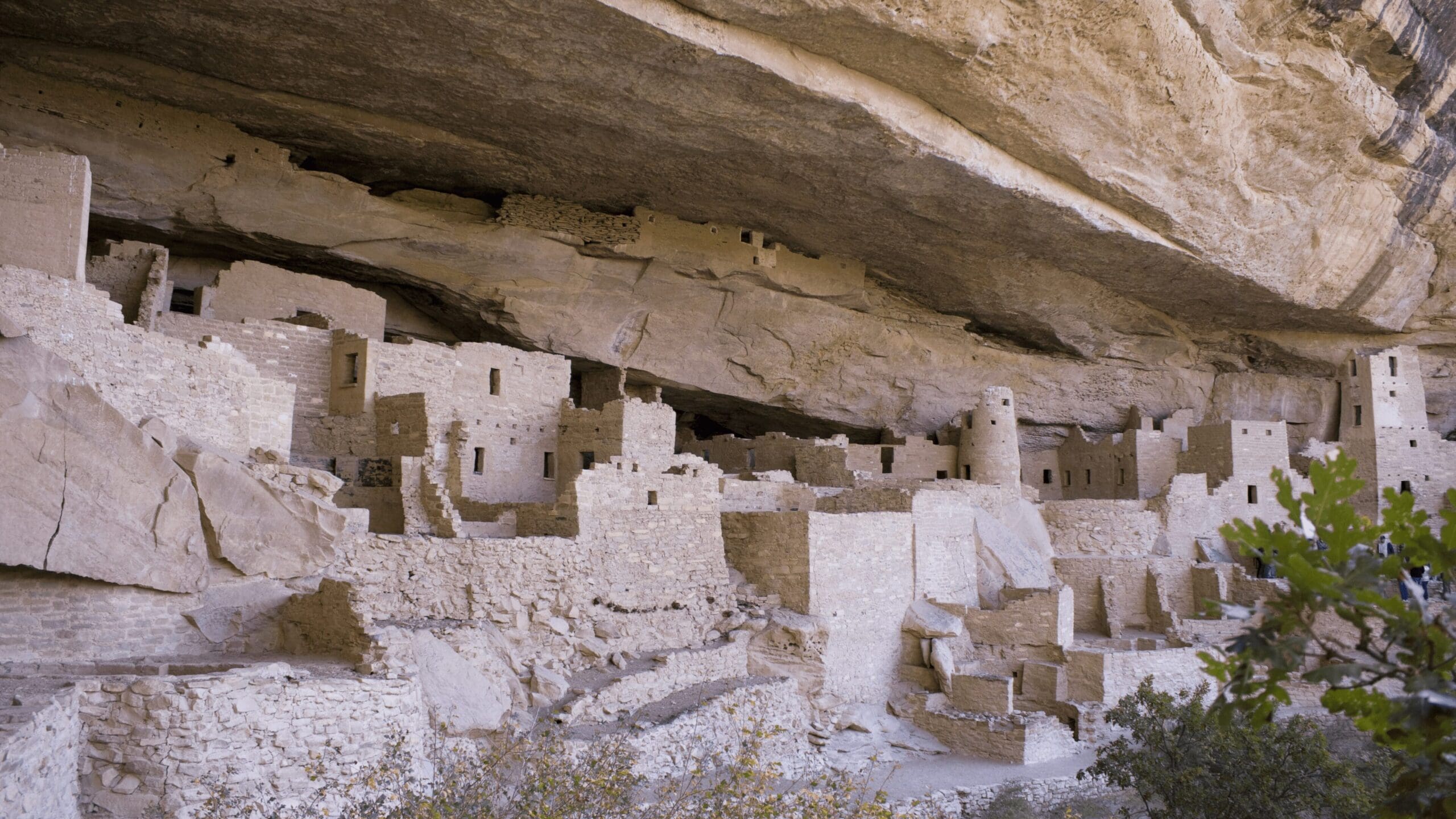 Adobe dwellings tucked up under the cliffs of mesa verde national park