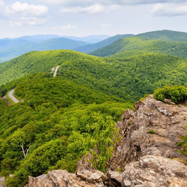 Looking from a high point down to green trees and rolling hills in Shenandoah National Park