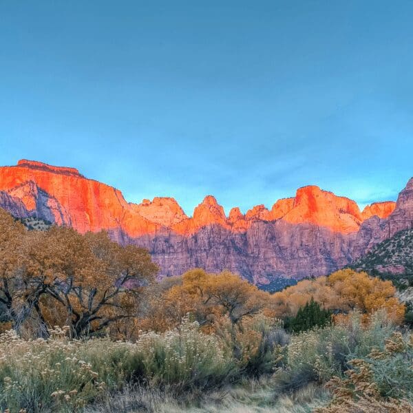 Red mountains jetting up out of the desert foreground with brush in Zion National Park