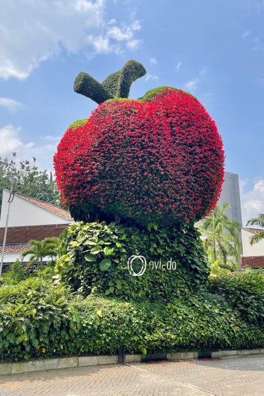 red apple flower planting