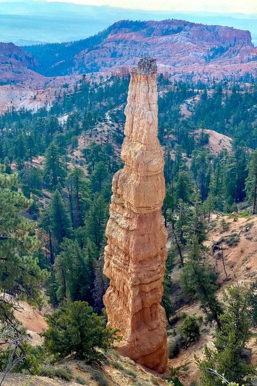 a Bryce Canyon National Park large hoodoo looking over the canyon