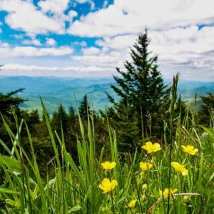 Great Smoky Mountains National Park Video