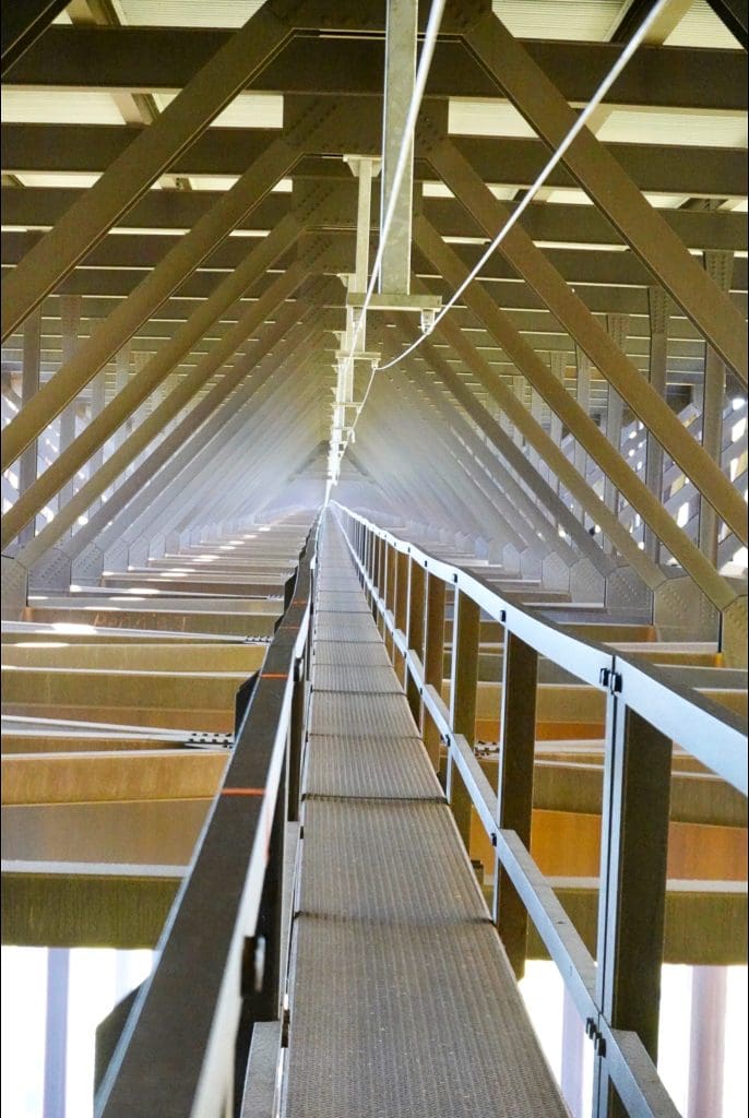 view from under the New River Gorge Bridge on the BridgeWalk in Fayetteville, West Virginia