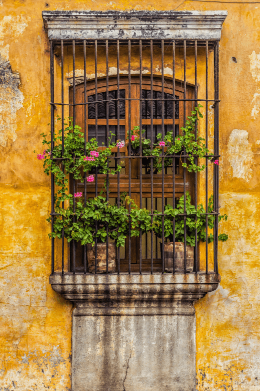 window with bars and flowers in Antigua Guatemala