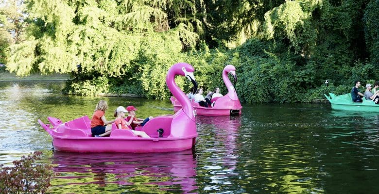 flamingo boats with children