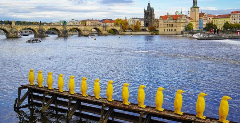 yellow penguins made from ocean plastics parading on the river in Prague