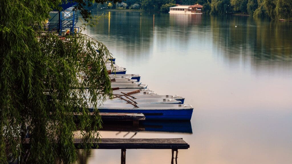 a view of the lake with boat that can be rented