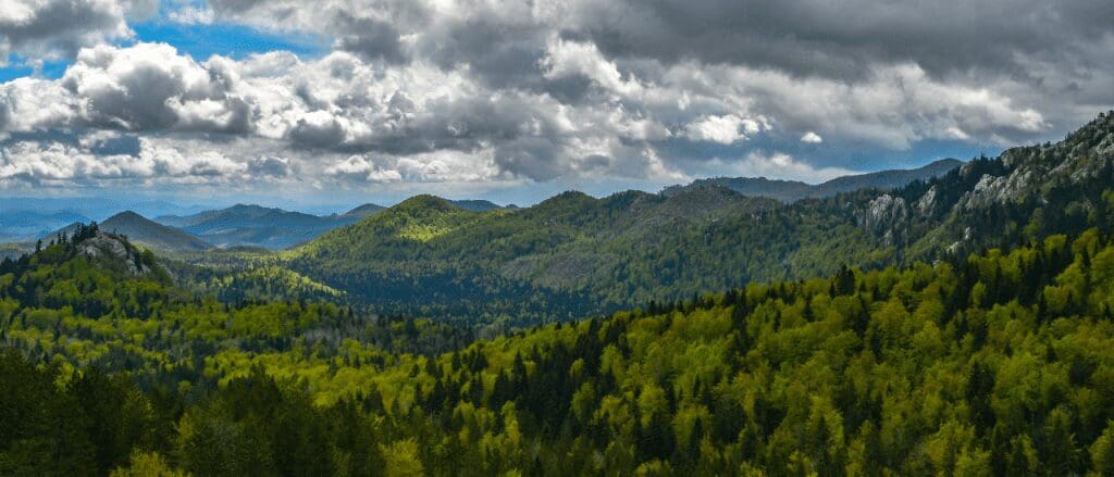 a view from the drive of mountains that are covered in trees