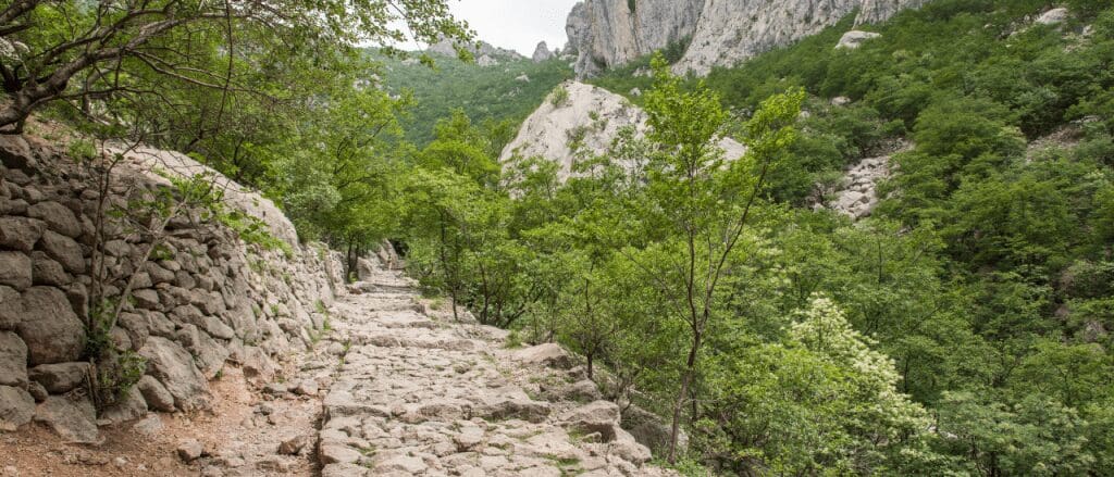 a park with hiking trail and mountains in background