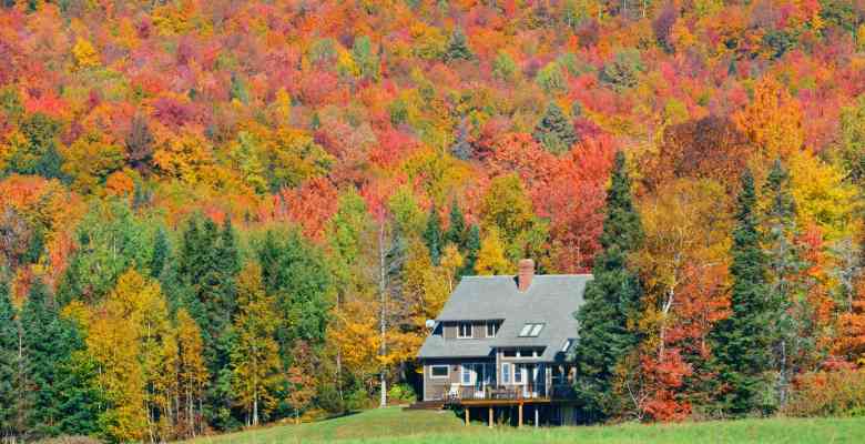 cabin in the woods in the vermont during the fall colors