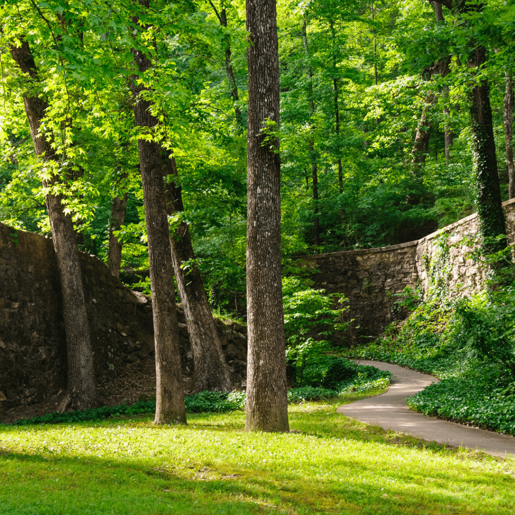 a grove of trees with a rock wall and walking path