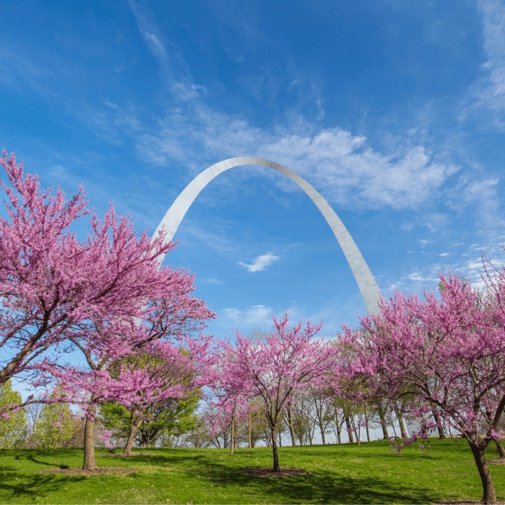 Gateway ARch with cherry trees in bloom