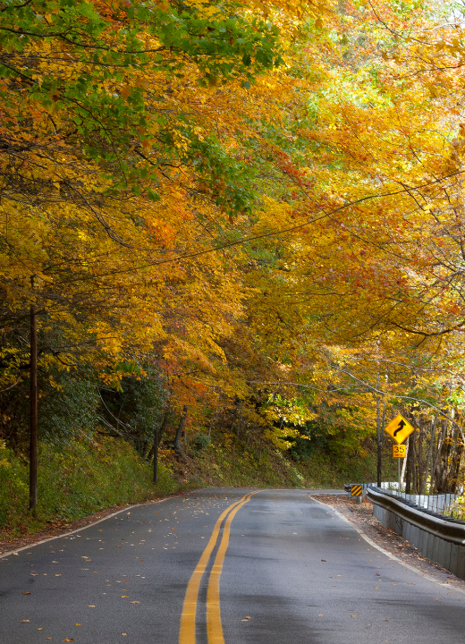 Scenic mountain highway in West Virginia with golden fall leaves