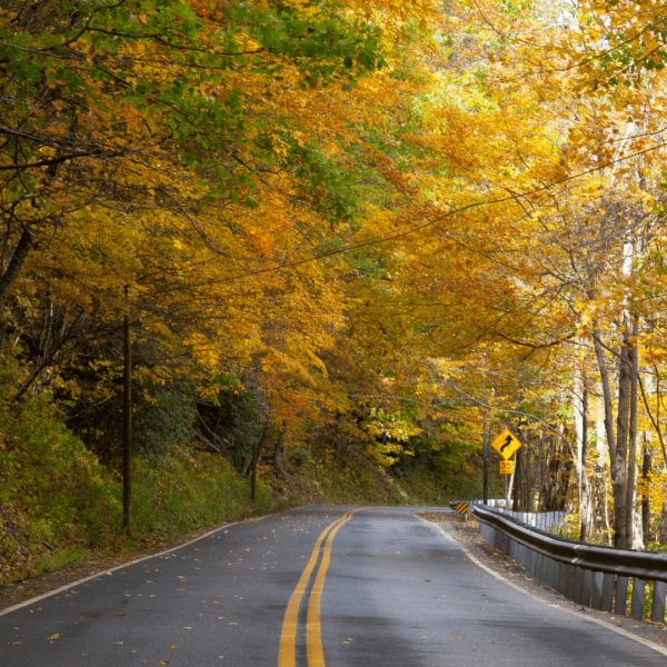 Scenic mountain highway in West Virginia with golden fall leaves