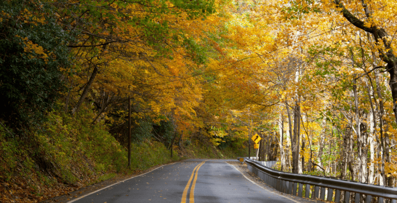 Scenic mountain highway in West Virginia with golden fall leaves