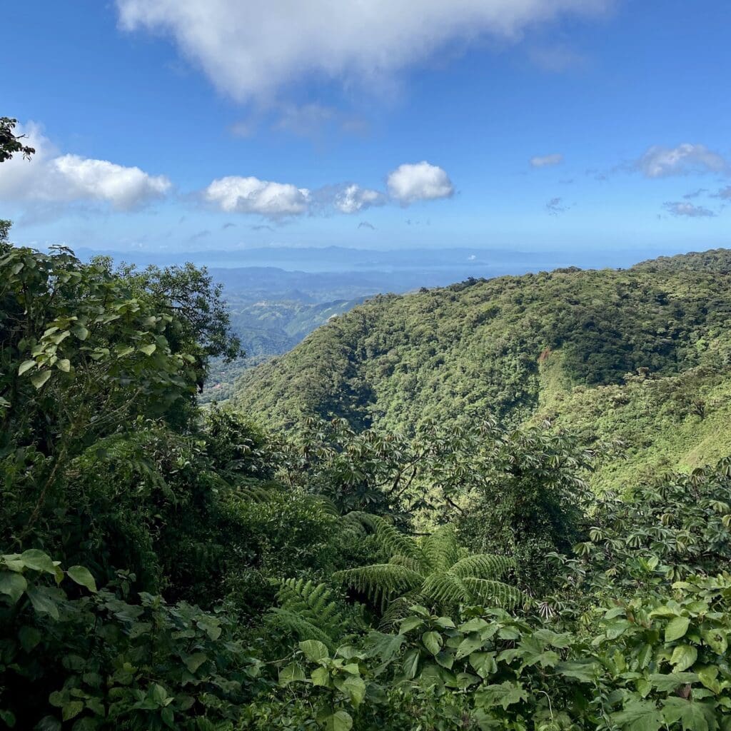 view from the cloud forest of costa rica