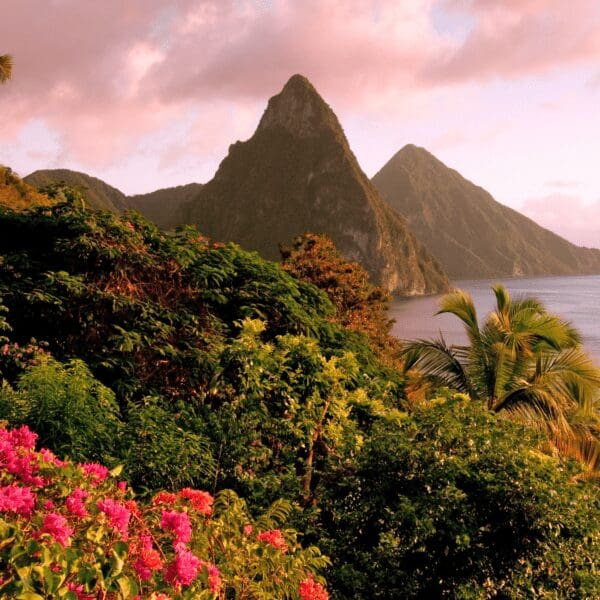 View of the mountains, ocean, trees, and flowers of the Caribbean island of St. Lucia
