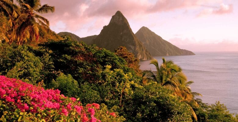 View of the mountains, ocean, trees, and flowers of the Caribbean island of St. Lucia