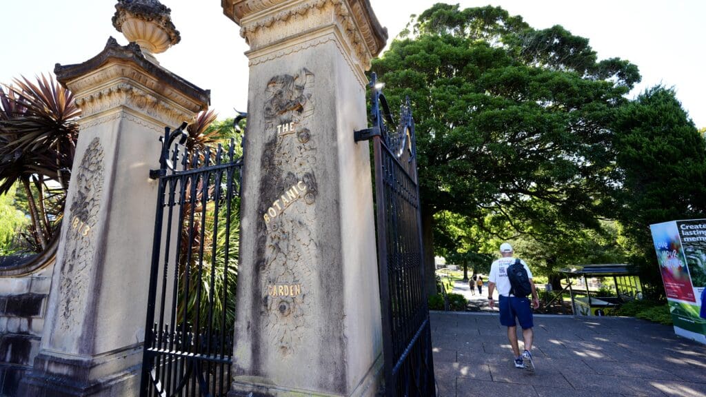 man walking through the gates at Sydney botanic garden