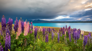 The Top 10 New Zealand South Island Wellness Resorts