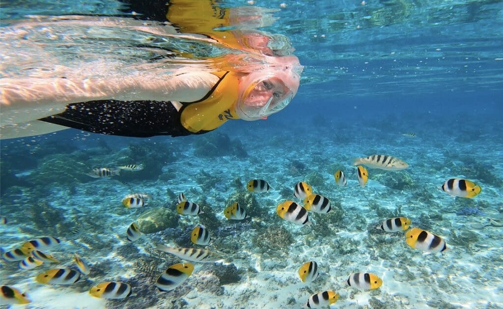 woman snorkeling in clear water with colorful fish