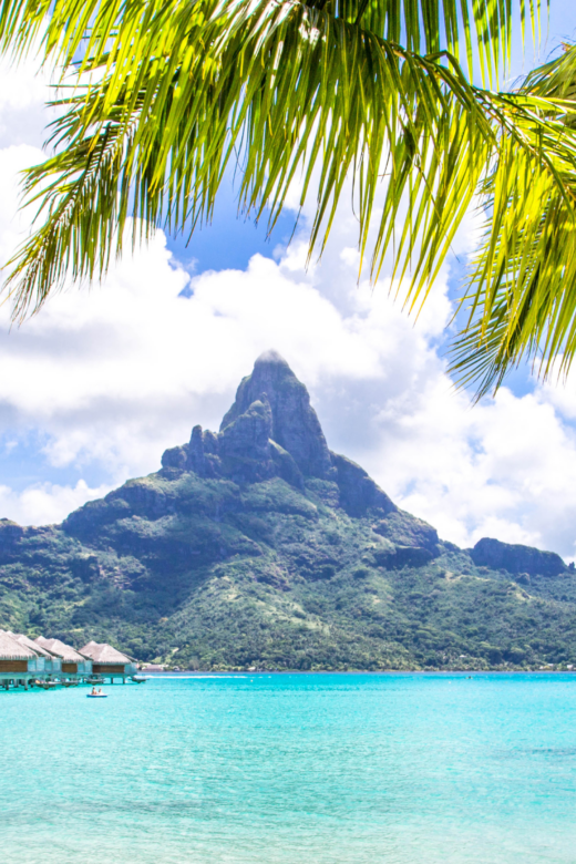 jagged rocks of the island of Moorea, palm trees in the foreground and an aqua ocean