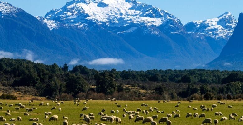 mountain range in new zealand