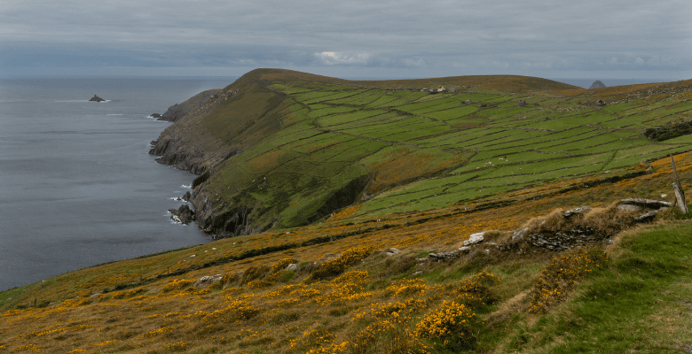 Hilly Irish countryside near the shoreline on Dursey Island