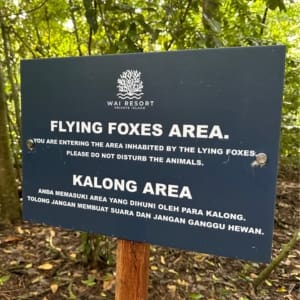 flying foxes sign on raja ampat