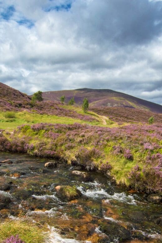 Rolling, barren landscape of the Scottish Highlands