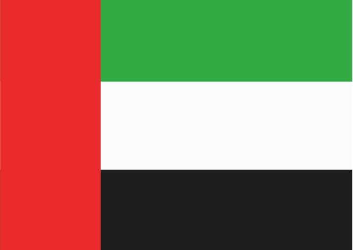 Red, green, white, and black flag
