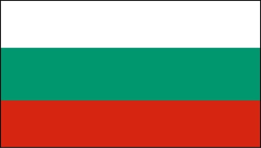A flag with three horizontal stripes. White, green, and Red