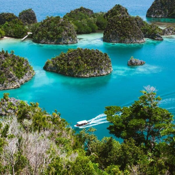 islands of raja ampat in indonesia