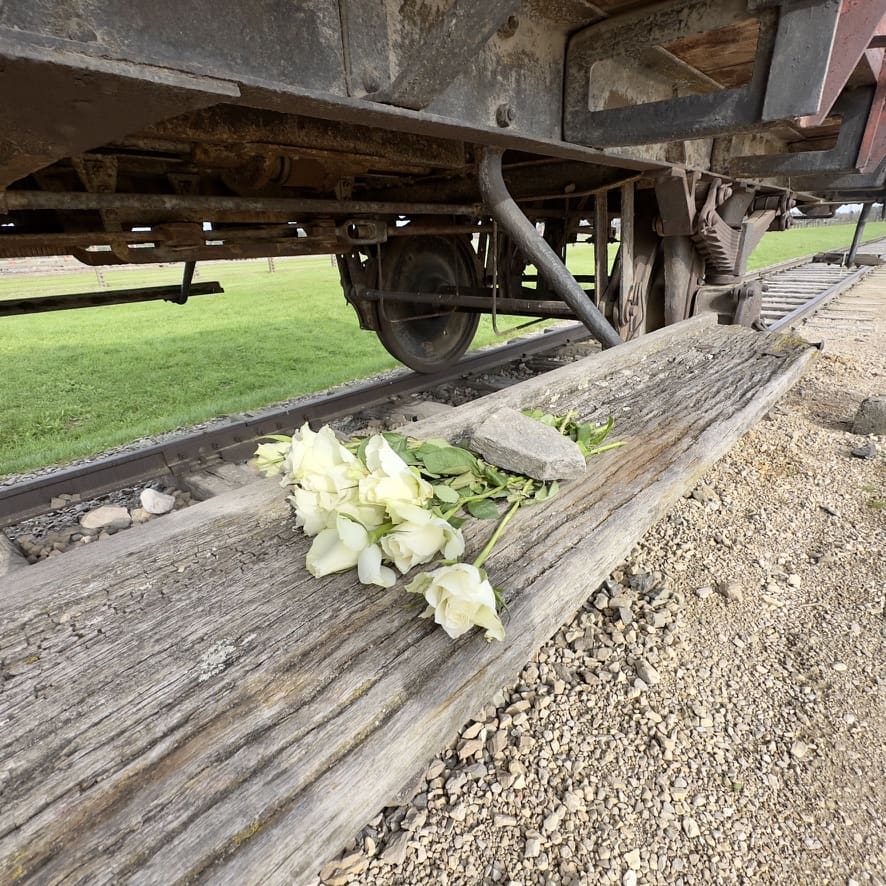 white roses beside a train car at the Auschwitz Concentration Camp in Poland