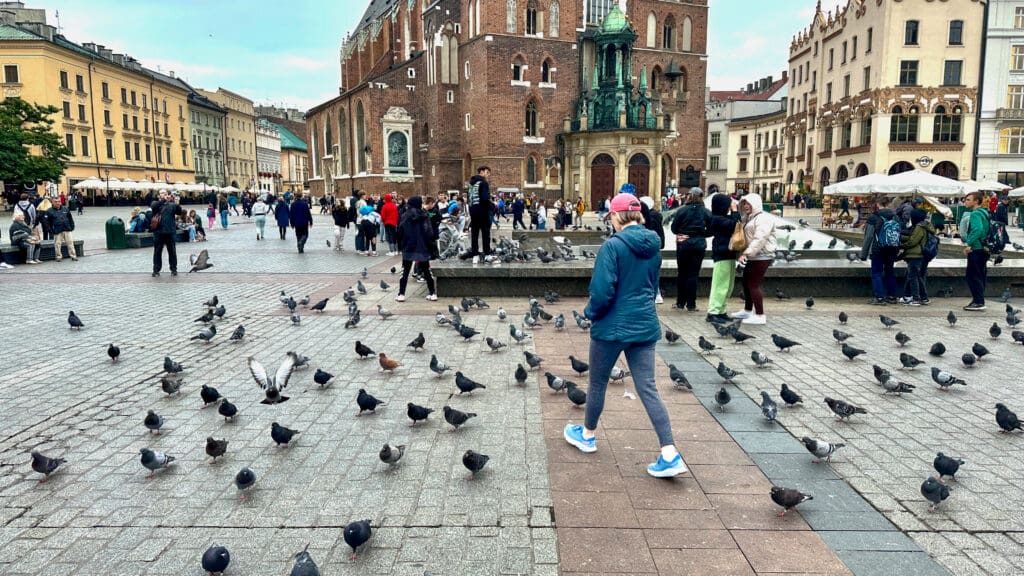 
bev walking through Krakow Poland square surrounded by pigeons
