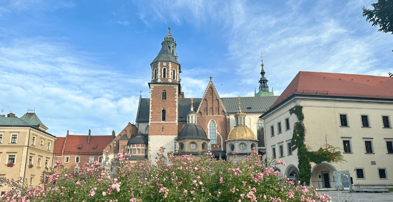 view of flowers and central square area in Krakow Poland