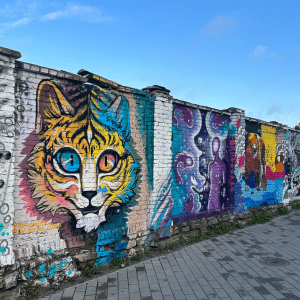 Colorful artwork on a wall near the Fotografiska museum in Tallinn