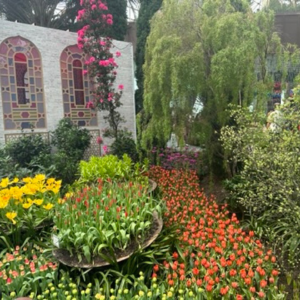 Flower garden with yellow and orange flowers