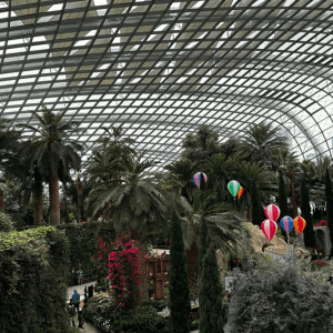 view of the roof of the Cloud Forest building in Singapore